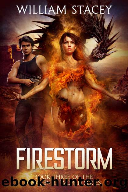 William Stacey - 03 Firestorm by William Stacey