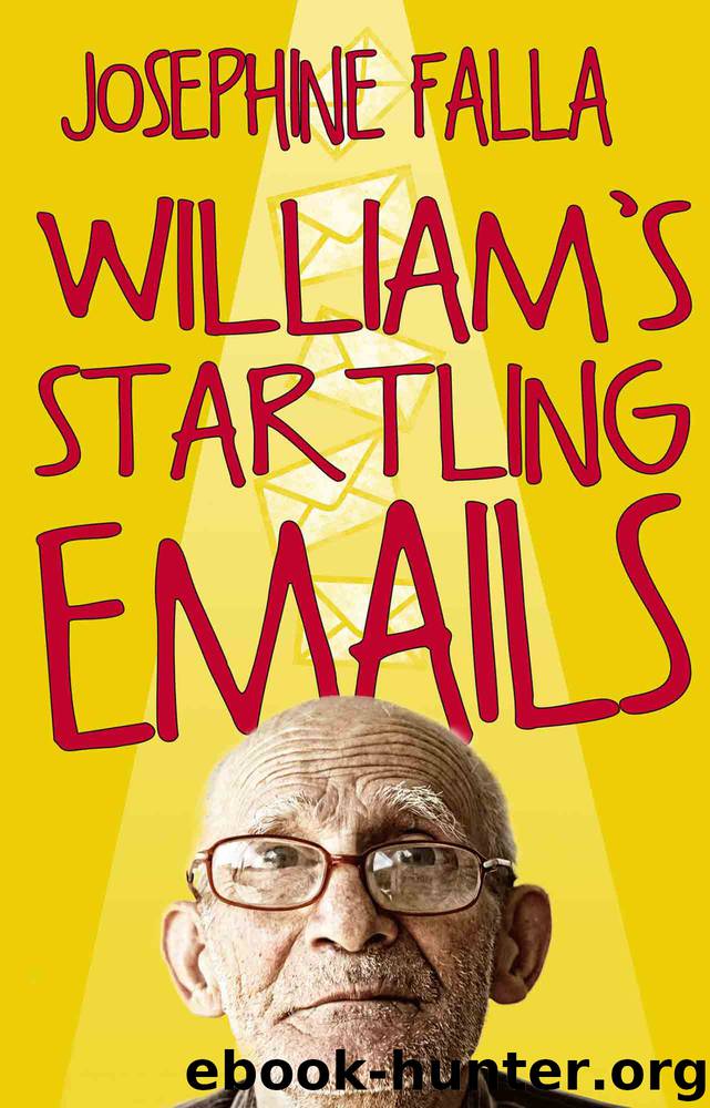 William's Startling Emails by Josephine Falla