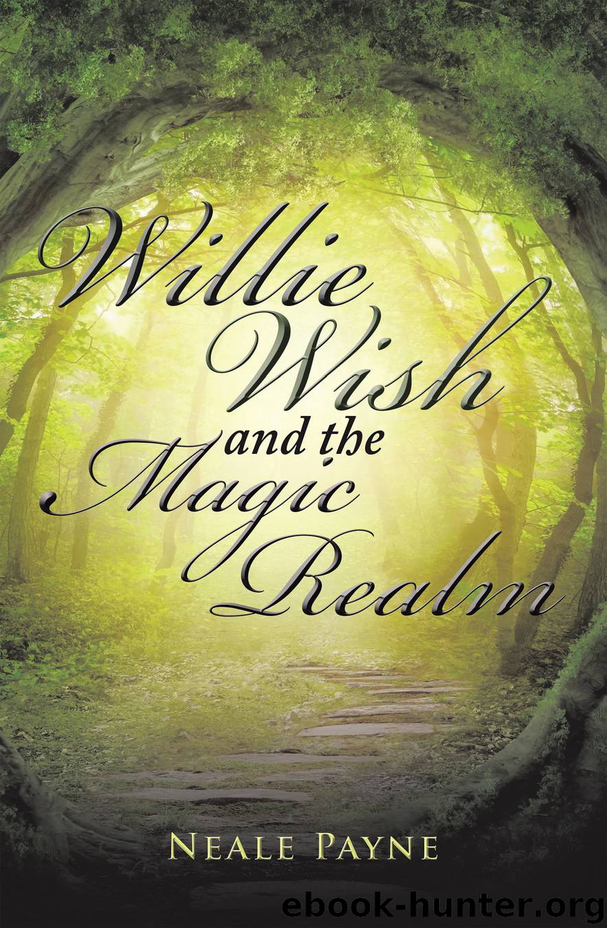 Willie Wish and the Magic Realm by neale payne