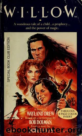 Willow : a novel by Drew Wayland