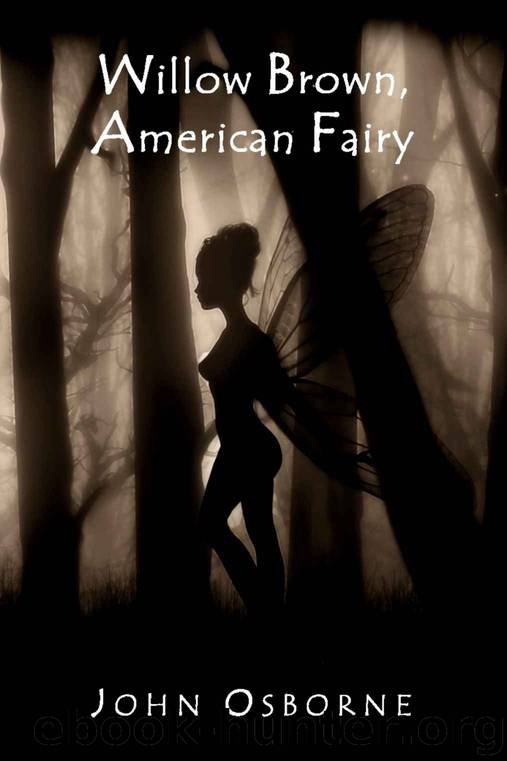 Willow Brown, American Fairy (The Willow Brown Stories) by John Osborne