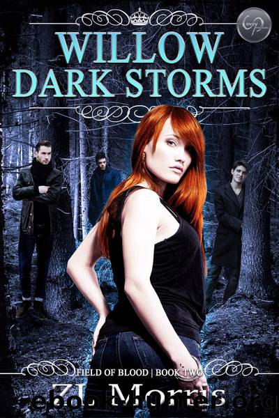 Willow Dark Storm by ZL Morris