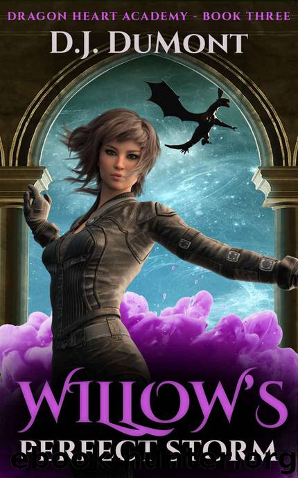 Willow's Perfect Storm by D J DuMont