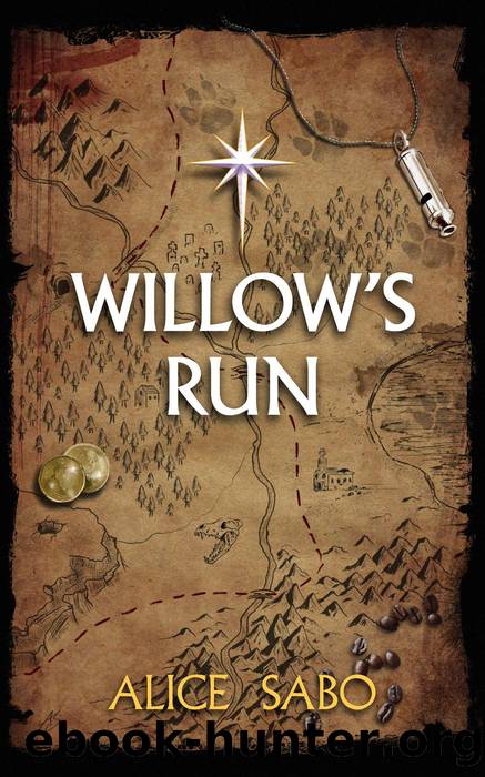 Willow's Run by Alice Sabo