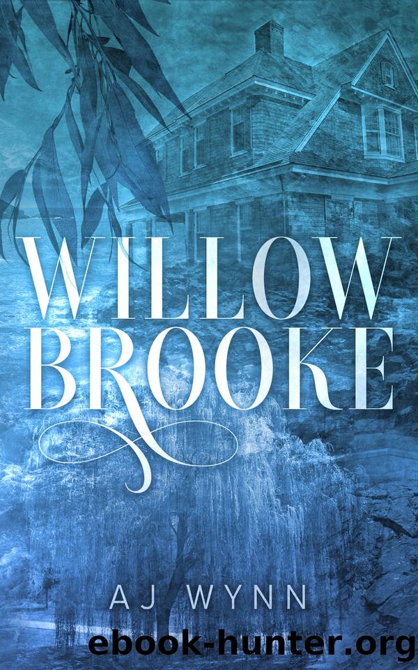 Willowbrooke: A slow burn mystery romance by AJ Wynn