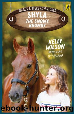 Wilson Sisters Adventures 1 by Kelly Wilson