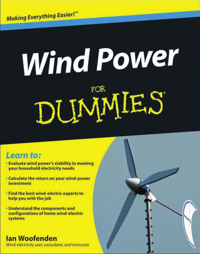 Wind Power For Dummies (2009) by (Malestrom)