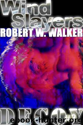 Wind Slayers by Robert W. Walker