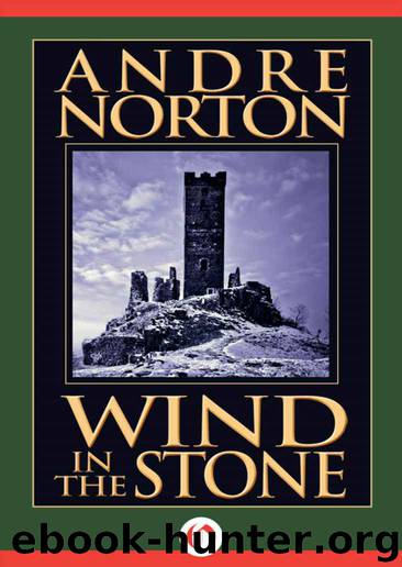 Wind in the Stone (The Five Senses Set Book 2) by Andre Norton