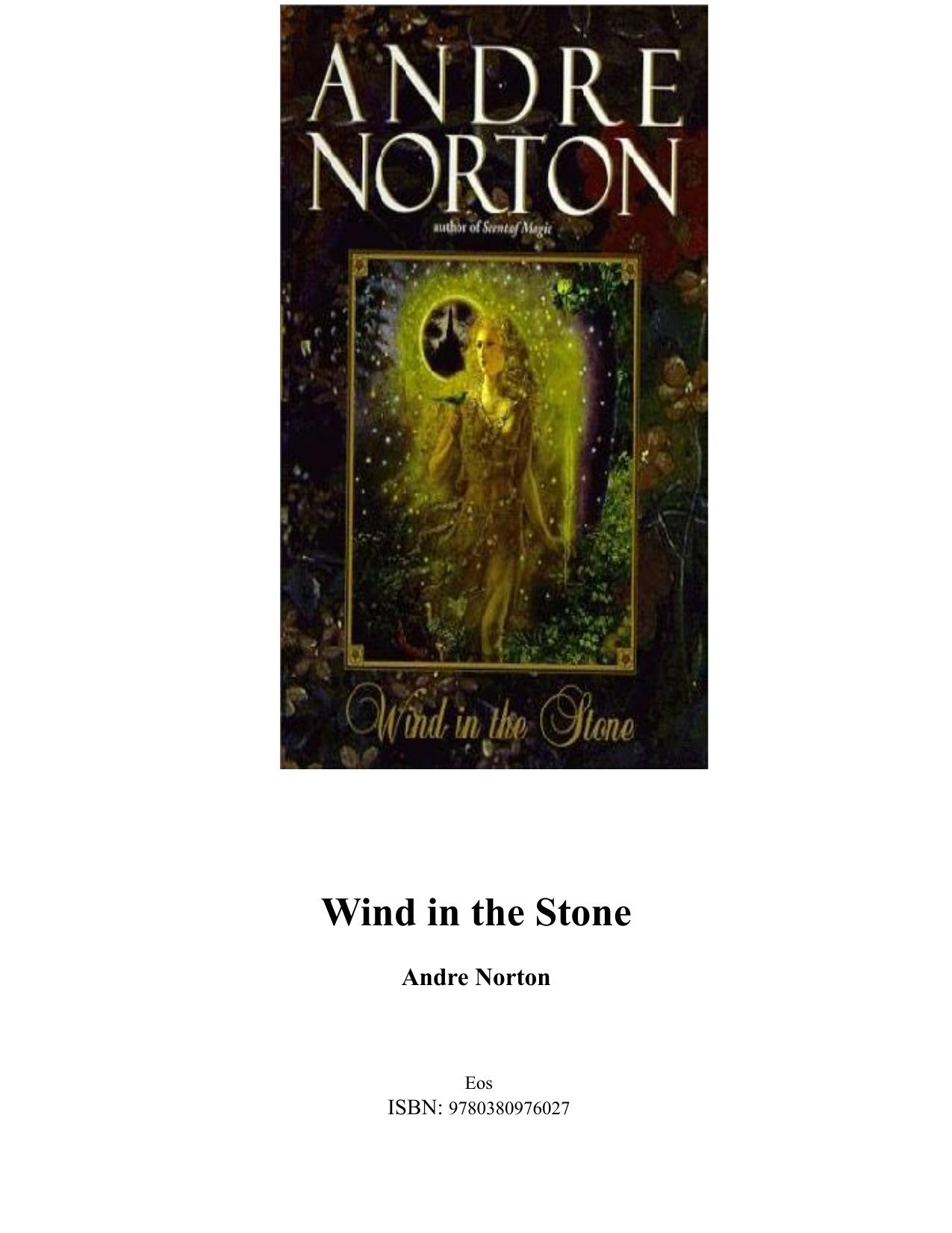 Wind in the Stone by Andre Norton