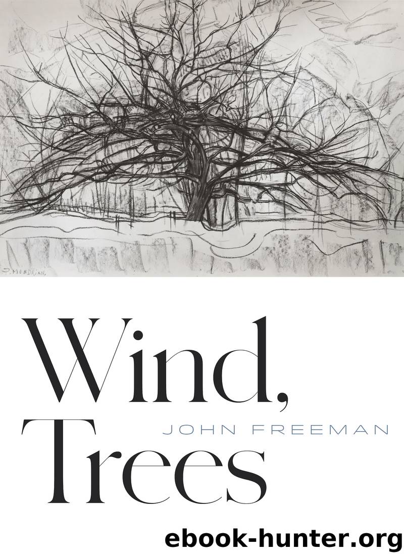 Wind, Trees by John Freeman
