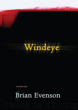 Windeye by Evenson Brian