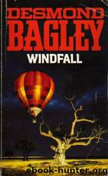 Windfall by Desmond Bagley