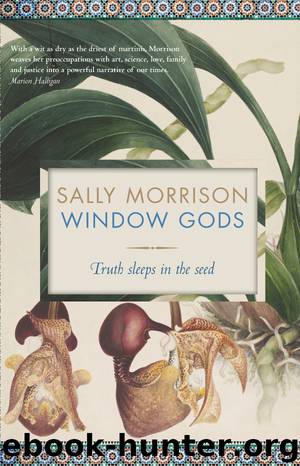 Window Gods by Sally Morrison