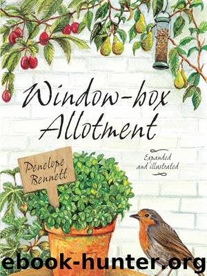 Window-box Allotment by Penelope Bennett