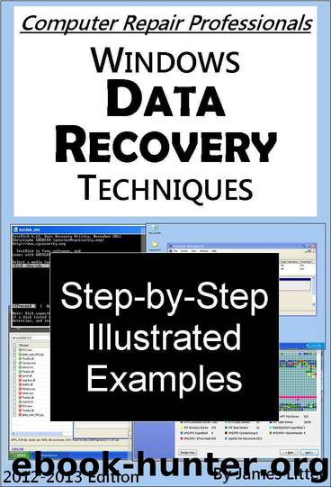 Windows Data Recovery Techniques (Computer Repair Professionals) by Litten James