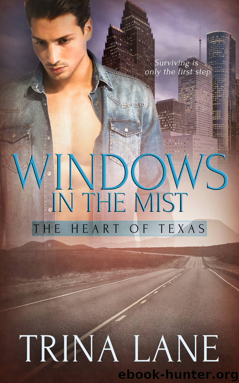 Windows in the Mist by Trina Lane