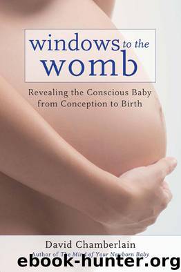 Windows to the Womb by David Chamberlain
