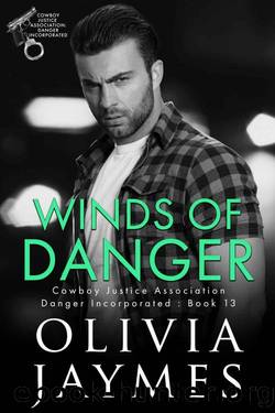 Winds of Danger by Olivia Jaymes