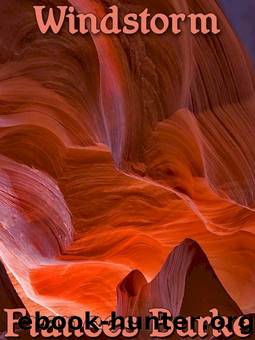 Windstorm by Frances Burke