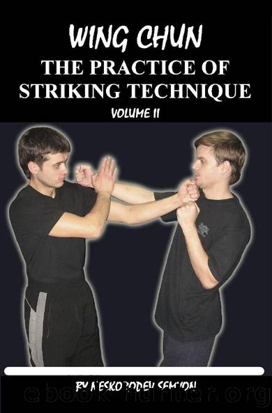 Wing chun. The practice of striking technique (1 Book 2) by Neskorodev Semyon
