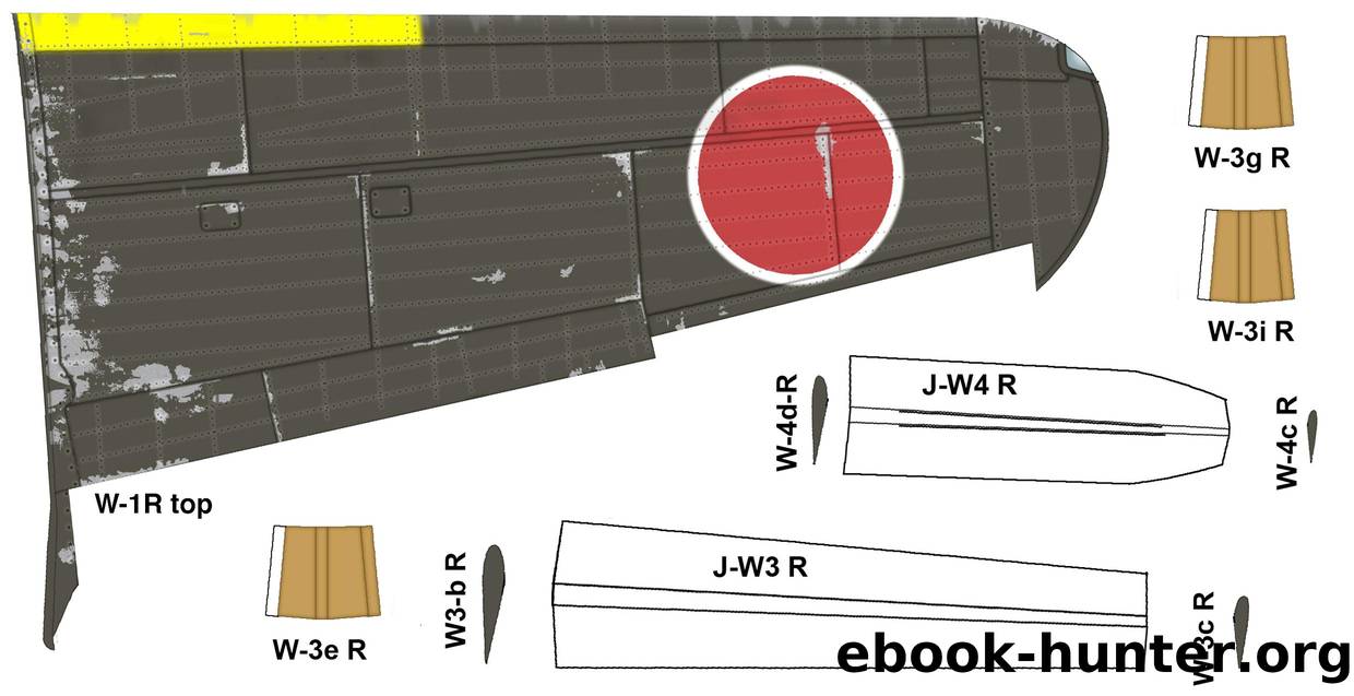 Wing-R black-2 by Unknown