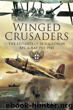 Winged Crusaders by Michael Napier