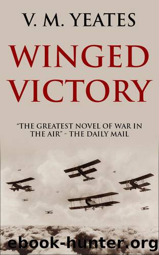 Winged Victory by V M Yeates