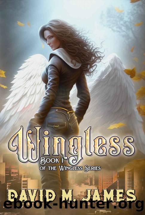 Wingless by David M. James