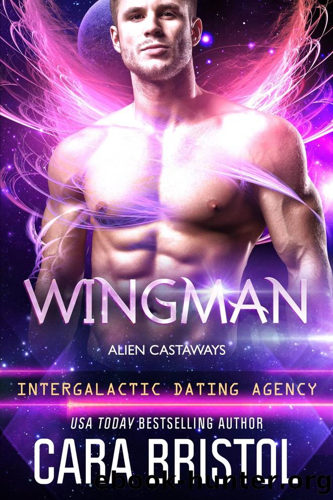 Wingman by Cara Bristol