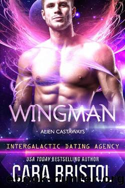 Wingman: Alien Castaways (Intergalactic Dating Agency) by Cara Bristol