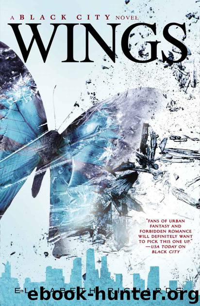 Wings (A Black City Novel) by Elizabeth Richards