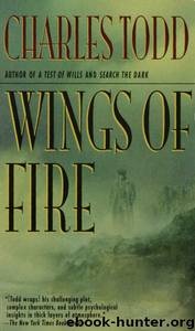 Wings Of Fire by Todd Charles