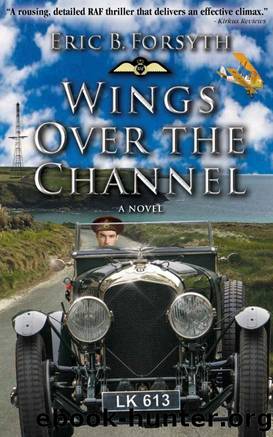 Wings Over the Channel by Eric Forsyth