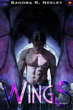 Wings by Sandra R Neeley