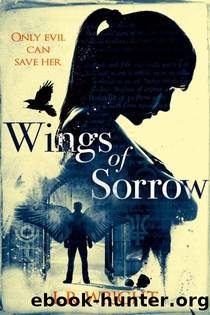 Wings of Sorrow by Wright Iain Rob