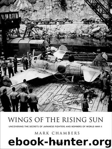 Wings of the Rising Sun by Mark Chambers