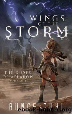 Wings of the Storm (The Dunes of Aelaron Book 1) by Aaron Bunce & Christopher Guhl