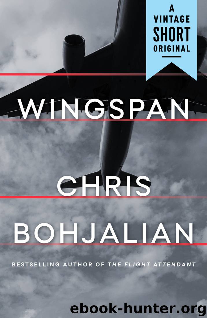 Wingspan by Chris Bohjalian