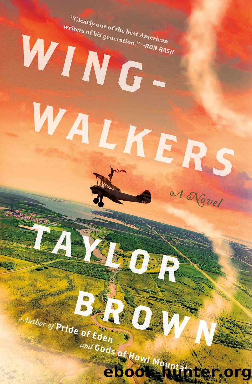 Wingwalkers by Taylor Brown