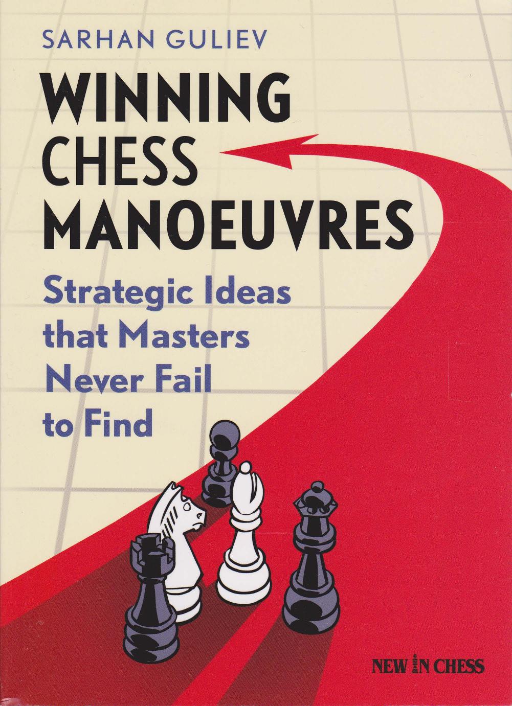 Winning Chess Manoeuvres: Strategic Ideas that Masters Never Fail to Find by Guliev Sarhan