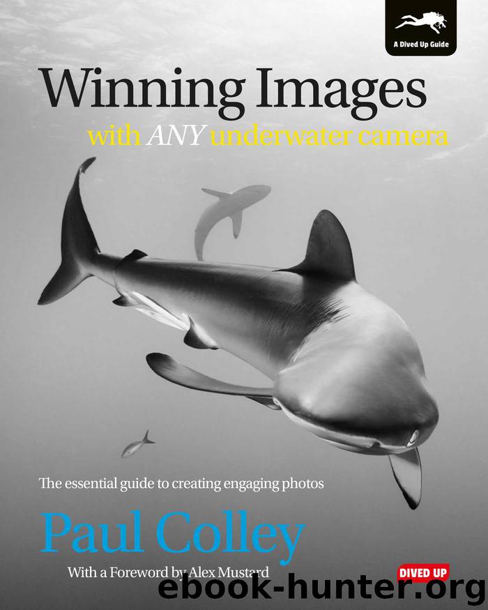Winning Images with Any Underwater Camera: The essential guide to creating engaging photos by Paul Colley