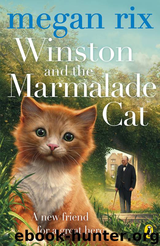 Winston and the Marmalade Cat by Megan Rix