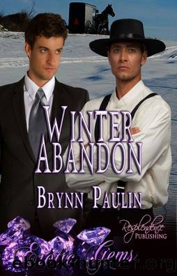 Winter Abandon by Brynn Paulin
