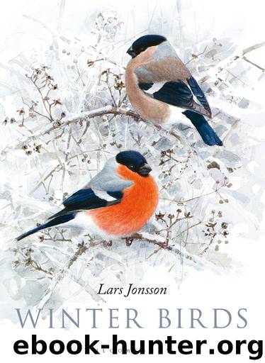 Winter Birds by Lars Jonsson