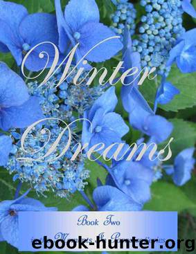 Winter Dreams (Moments In Paradise Book 2) by Melanie Wilber
