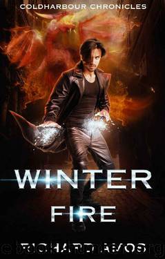 Winter Fire: an Urban Fantasy Novel (Coldharbour Chronicles Book 3) by Richard Amos
