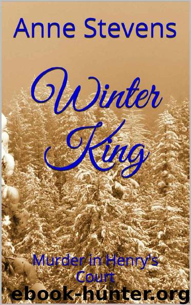 Winter King by Anne Stevens