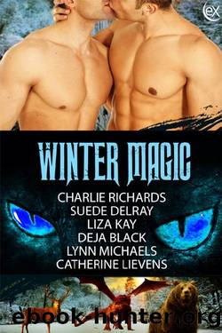 Winter Magic by unknow