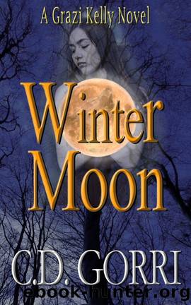 Winter Moon by C D Gorri